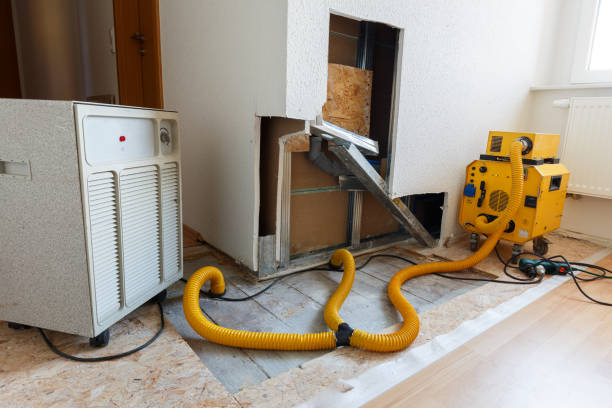 Best Post-Construction Mold Inspection  in Desloge, MO
